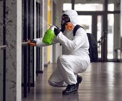 Mold Odor Removal Services in Dakota City, NE